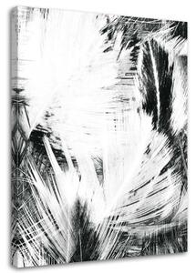 Obraz na plátně Listí Listy Abstrakce ČB - 80x120 cm