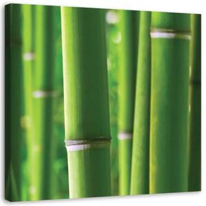 Obraz na plátně Bambusové zenové lázně Nature - 40x40 cm