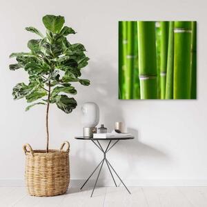 Obraz na plátně Bambusové zenové lázně Nature - 30x30 cm