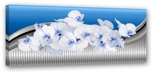 Obraz na plátně Orchidej Květina Modrá - 150x50 cm
