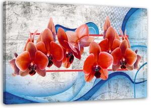 Obraz na plátně Červená orchidej Květina - 90x60 cm