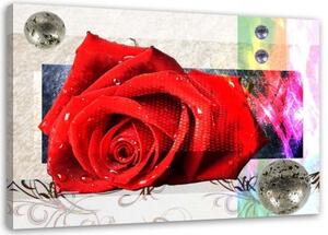 Obraz na plátně Červené květy růží Abstrakt - 90x60 cm