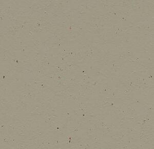 FORBO Marmoleum solid cocoa Hummus 3596 - 2 bm