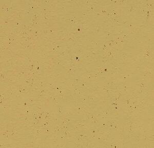 FORBO Marmoleum solid cocoa Curcuma 3587 - 2 bm
