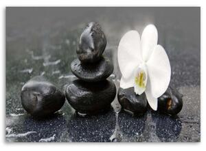 Obraz na plátně Orchid Stone Zen Spa - 60x40 cm