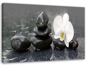 Obraz na plátně Orchid Stone Zen Spa - 90x60 cm