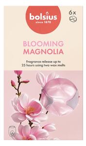 VOSKY VONNÉ MAGNOLIE, SADA 6KS