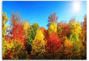 Obraz na plátně Barevná lesní podzimní krajina - 60x40 cm