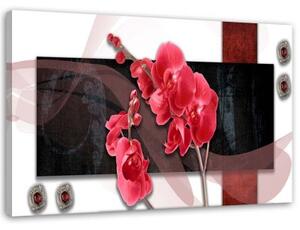 Obraz na plátně Červená orchidej - 100x70 cm