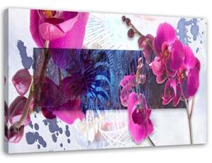 Obraz na plátně Orchidejová abstrakce růžová - 90x60 cm