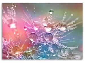 Obraz na plátně Dmychadlo Flossy Drops - 60x40 cm