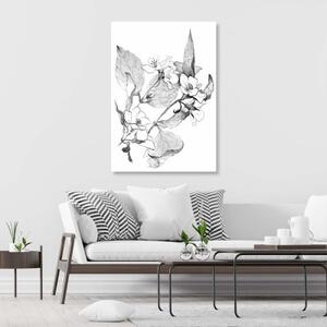 Obraz na plátně Květiny Černobílá příroda - 40x60 cm