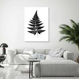 Obraz na plátně Kapradinový list černá bílá příroda - 70x100 cm
