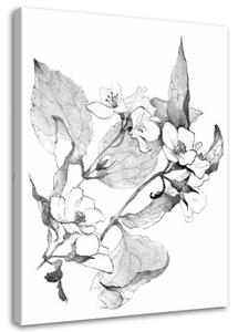 Obraz na plátně Květiny Černobílá příroda - 60x90 cm