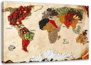 Obraz na plátně Mapa světa Koření - 60x40 cm