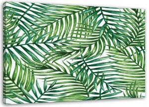 Obraz na plátně Listy abstraktní zelená - 90x60 cm