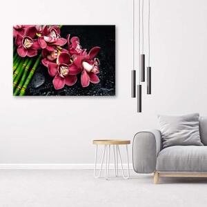 Obraz na plátně Růžová orchidej Bamboo Zen - 60x40 cm