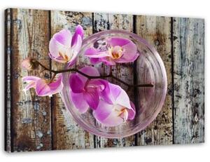 Obraz na plátně Orchidej Květiny Dřevěné lázně - 60x40 cm