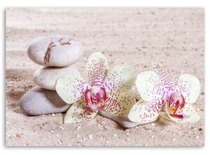 Obraz na plátně Orchideje Zen Spa Stones - 120x80 cm