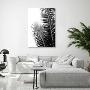 Obraz na plátně Palm Leaf Black White - 70x100 cm