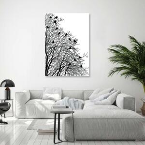 Obraz na plátně Ptáci na větvi Černá Bílá - 80x120 cm