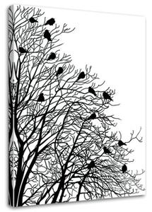 Obraz na plátně Ptáci na větvi Černá Bílá - 70x100 cm