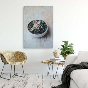 Obraz na plátně Zátiší rostlin - 40x60 cm