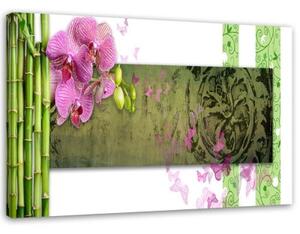 Obraz na plátně Orchidejová bambusová abstrakce - 90x60 cm