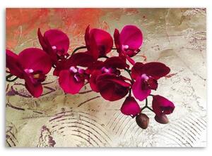Obraz na plátně Růžová orchidej Květina Textura - 60x40 cm