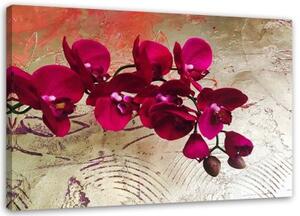Obraz na plátně Růžová orchidej Květina Textura - 100x70 cm