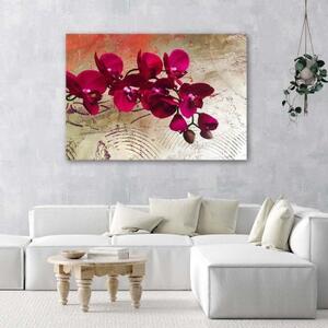 Obraz na plátně Růžová orchidej Květina Textura - 90x60 cm