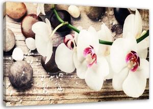 Obraz na plátně Orchidejové kameny Zen White - 120x80 cm