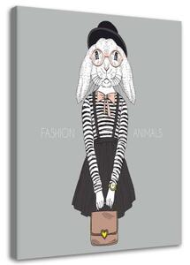 Obraz na plátně Dívka Bunny Grey - 70x100 cm