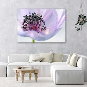 Obraz na plátně Fialová květina Příroda Makro - 90x60 cm