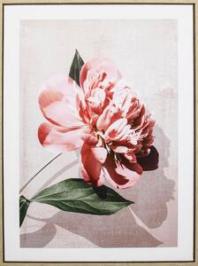 TIŠTĚNÉ OBRAZY NA PLÁTNĚ, květiny, 45/60 cm Monee - Umělecký tisk