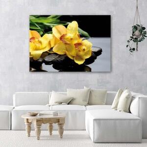 Obraz na plátně Orchidej žlutá květina - 90x60 cm