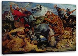 Obraz na plátně Hon na tygra - P. P. Rubens - 100x70 cm