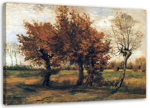 Obraz na plátně REPRODUKCE Podzimní krajina Van Gogh, - 90x60 cm