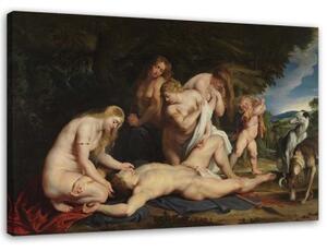 Obraz na plátně REPRODUKCE Adonisova smrt - P. Rubens - 90x60 cm