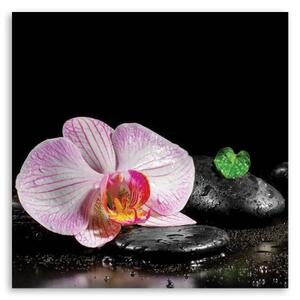 Obraz na plátně Zenová orchidej Květina - 30x30 cm