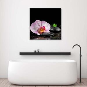 Obraz na plátně Zenová orchidej Květina - 30x30 cm