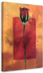 Obraz na plátně Rose Flower Červená příroda - 40x60 cm