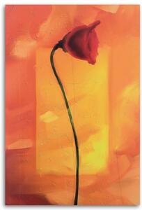 Obraz na plátně Mák Červený květ Příroda - 40x60 cm