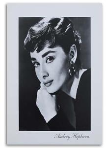 Obraz na plátně Audrey Hepburn Herečka - 40x60 cm