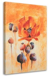Obraz na plátně Vlčí máky Oranžová jako malovaná - 70x100 cm