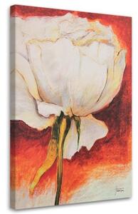 Obraz na plátně Květ pivoňky jako malovaný - 70x100 cm
