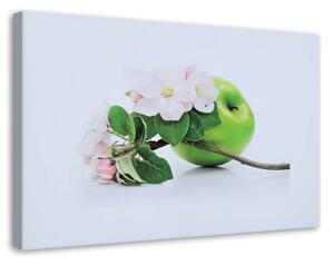 Obraz na plátně Ovoce z jablek - 100x70 cm