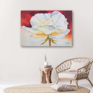 Obraz na plátně Pivoňka Květina Příroda - 60x40 cm