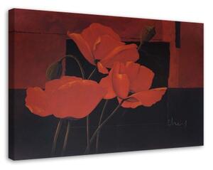 Obraz na plátně Polní máky Květiny Červená - 120x80 cm