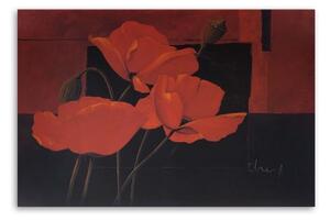 Obraz na plátně Polní máky Květiny Červená - 60x40 cm